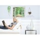 removable wall sticker nature